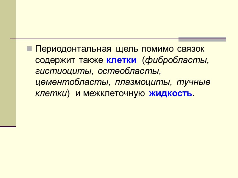 Периодонтальная щель помимо связок содержит также клетки  (фибробласты, гистиоциты, остеобласты, цементобласты, плазмоциты, тучные